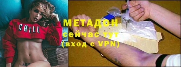 PSILOCYBIN Бородино