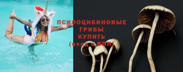 кокс Магас