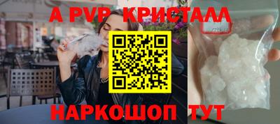 стафф Кингисепп