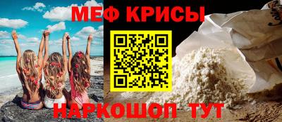 стафф Кингисепп