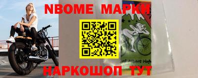 стафф Кингисепп