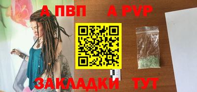 стафф Кингисепп