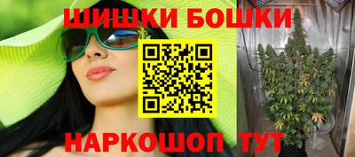 стафф Кингисепп