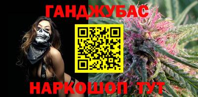 стафф Кингисепп