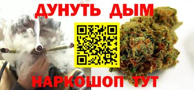 стафф Кингисепп