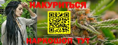 стафф Кингисепп