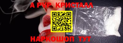 стафф Кингисепп