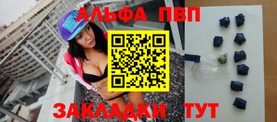 стафф Кингисепп