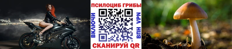 Псилоцибиновые грибы Psilocybe  даркнет сайт  Куйбышев 