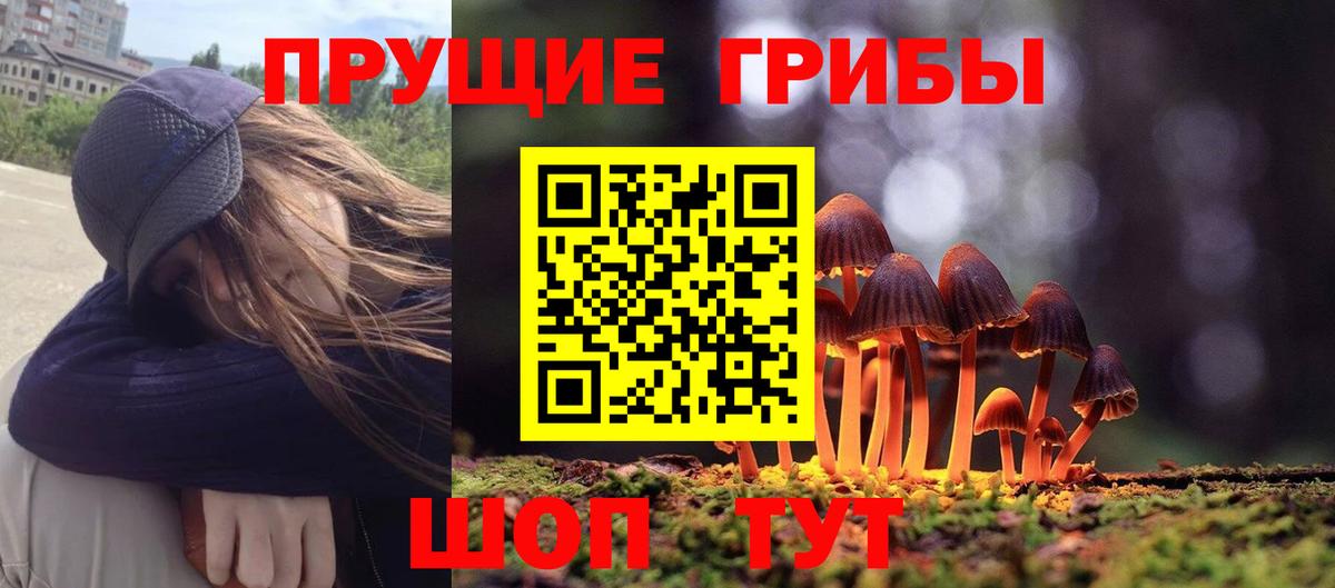 Псилоцибиновые грибы MAGIC MUSHROOMS  Вход с VPN  Куйбышев 